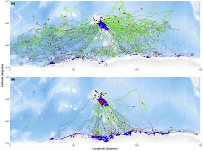 Inferring Variation in Southern Elephant Seal At-Sea Mortality by Modelling Tag Failure